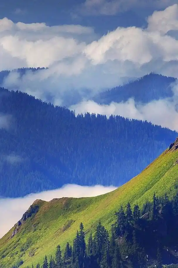 美丽大自然奇观手机动态壁纸