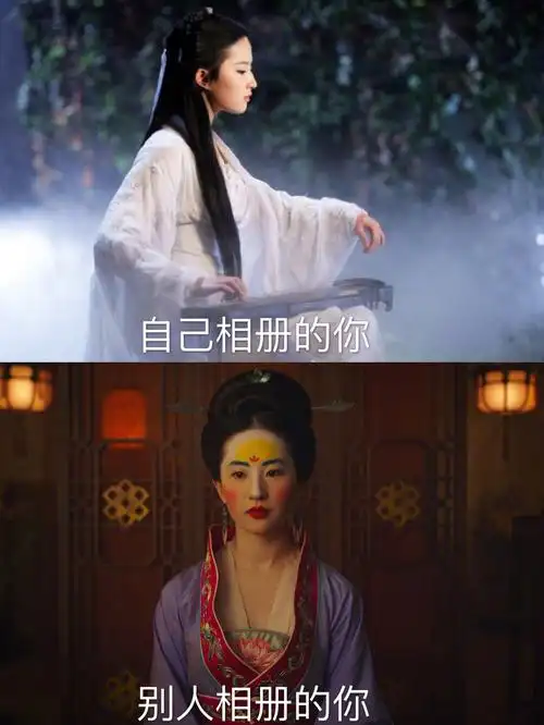 自己相册的你 别人相册的你 - 刘亦菲花木兰妆表情包_刘亦菲_明星表情