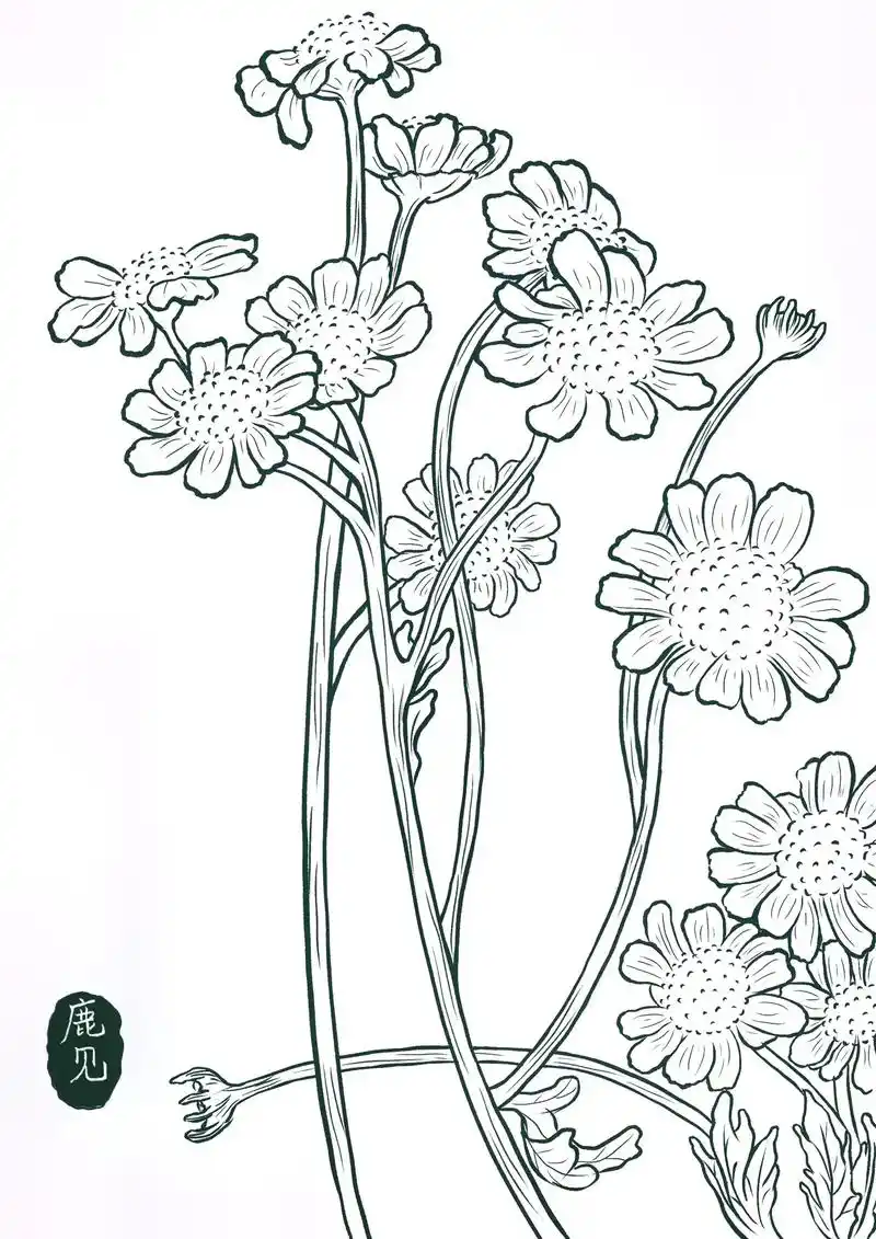 春天里的小雏菊98.画还没开,那就浅画一个吧～ #procr - 抖音