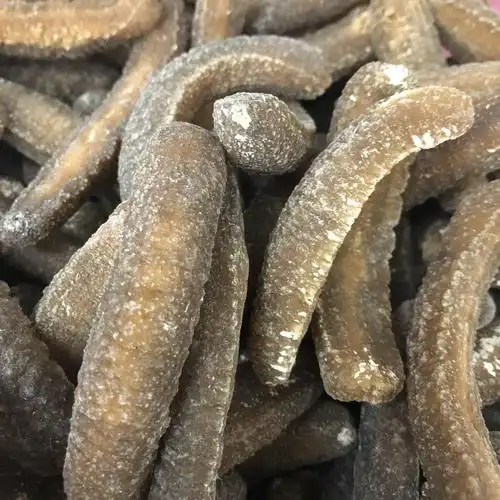 批发渠道深海天然野生海参澳洲沙秃参 沙秃参黄金沙秃参淡干海参