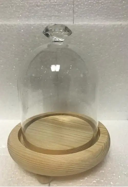 永生花玻璃罩子 多肉植物防尘罩摆件微景观玻璃工艺品diy玻璃瓶