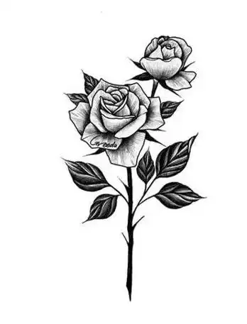玫瑰纹身手稿