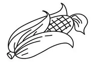 玉米粒简笔画 玉米粒简笔画图片彩色