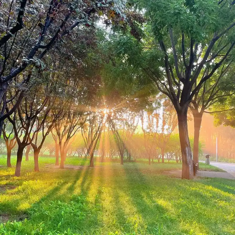 雨后的清晨,万物可爱