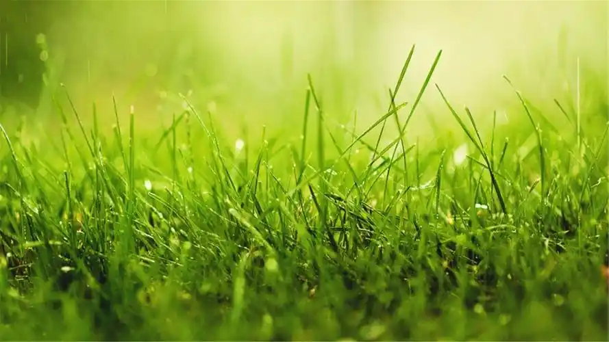 82张护眼电脑桌面壁纸,超多超全,唯美漂亮