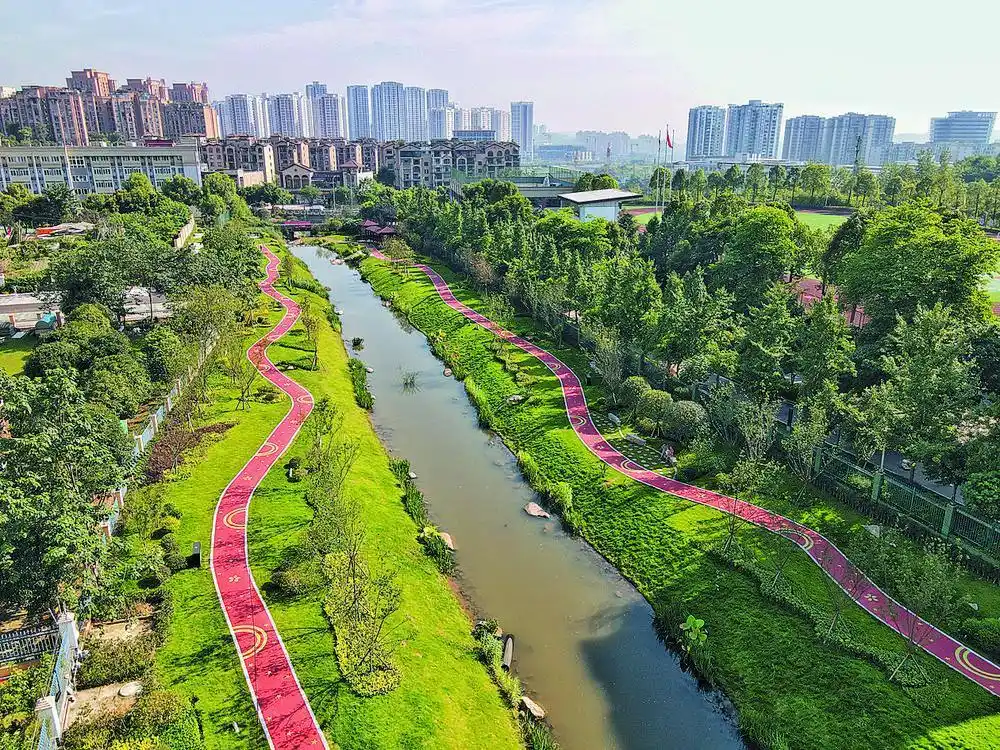 驳岸花开苦竹溪 水清景美民神怡|南岸区|长江|生态_新浪新闻