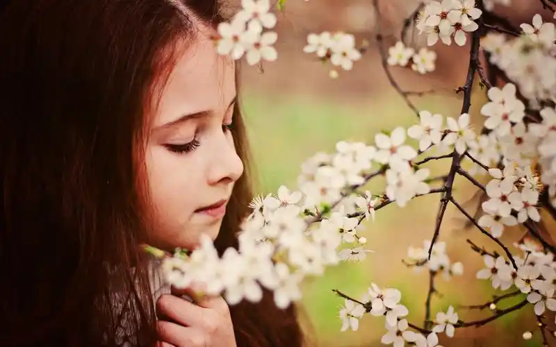 唯美可爱的儿童摄影高清图片电脑桌面壁纸下载