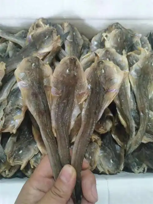 兴城海干货 扔吧鱼咸鱼干 胖头鱼小咸鱼 楞吧鱼油煎小咸鱼 包邮_双氙