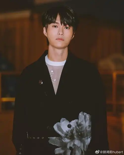无人在意但还是想为胡鸿钧的颜值正名一下