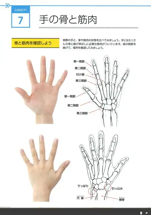 画画的大元 _ 哔哩哔哩相簿