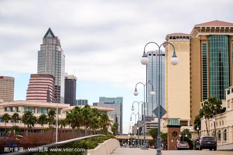 美国佛罗里达州坦帕市中心