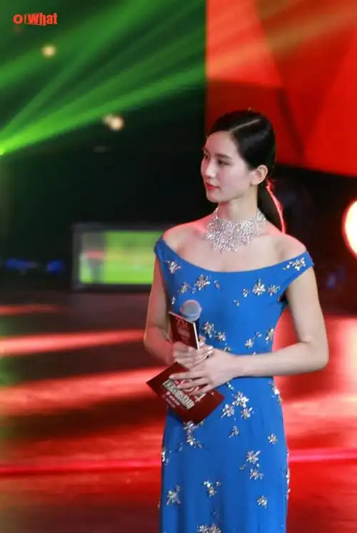 2014国剧盛典录制