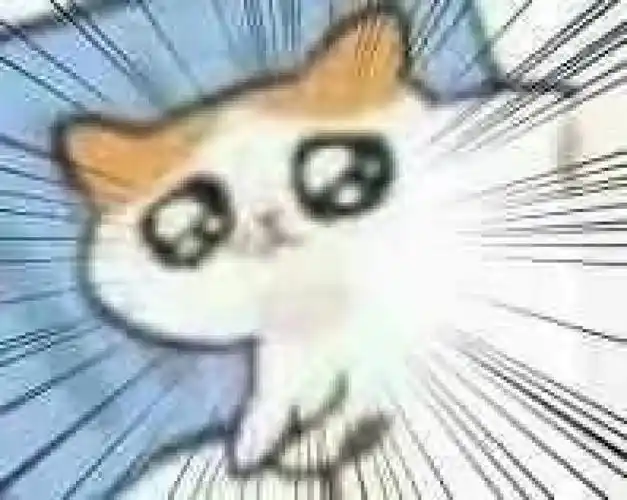 猫咪震惊猫咪震惊表情