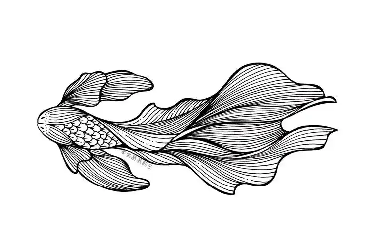 9张线描创意小金鱼,用普通的笔画出超精美的画作,美醉了!