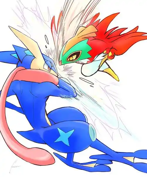 飞行属性宝可梦,摔角鹰人pixiv插画图片