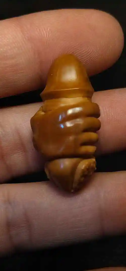 橄榄核雕生命源单籽把握机会网红手串