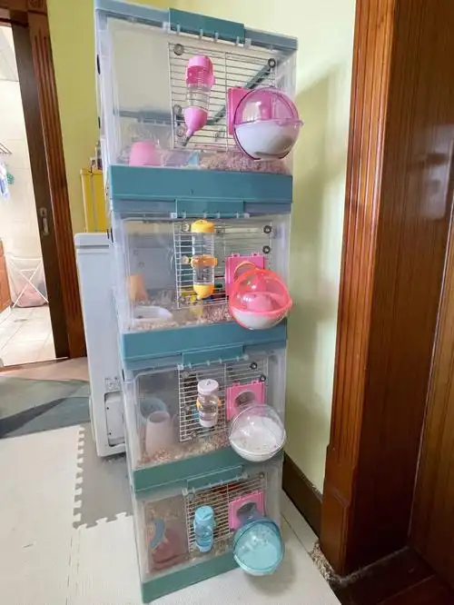 豪华四层仓鼠笼改造第二期