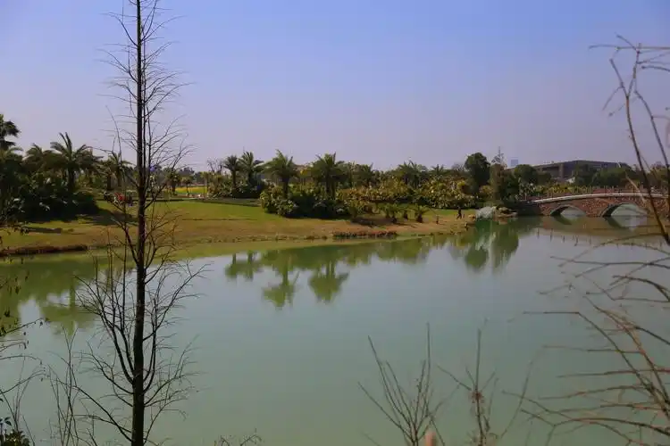 漫步瑶湖郊野森林公园!