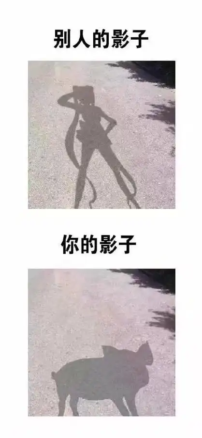 别人的影子你的影子