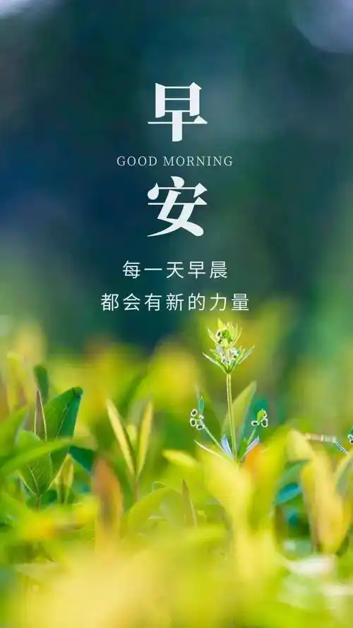 12句顶级励志正能量句子,句句充满力量,让你瞬间满血复活