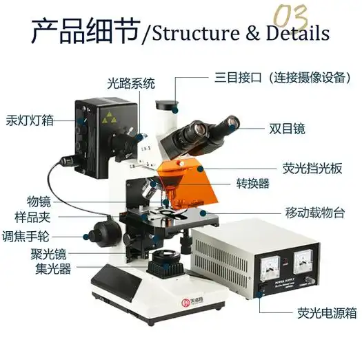 天诺翔荧光显微镜tn-80正置三目落射荧光显微镜b/g两组激发模块生物
