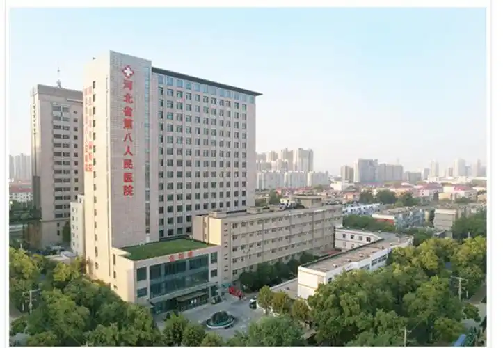 河北省第八人民医院,招聘护士,内科医师,外科医师,妇科医师,中西医