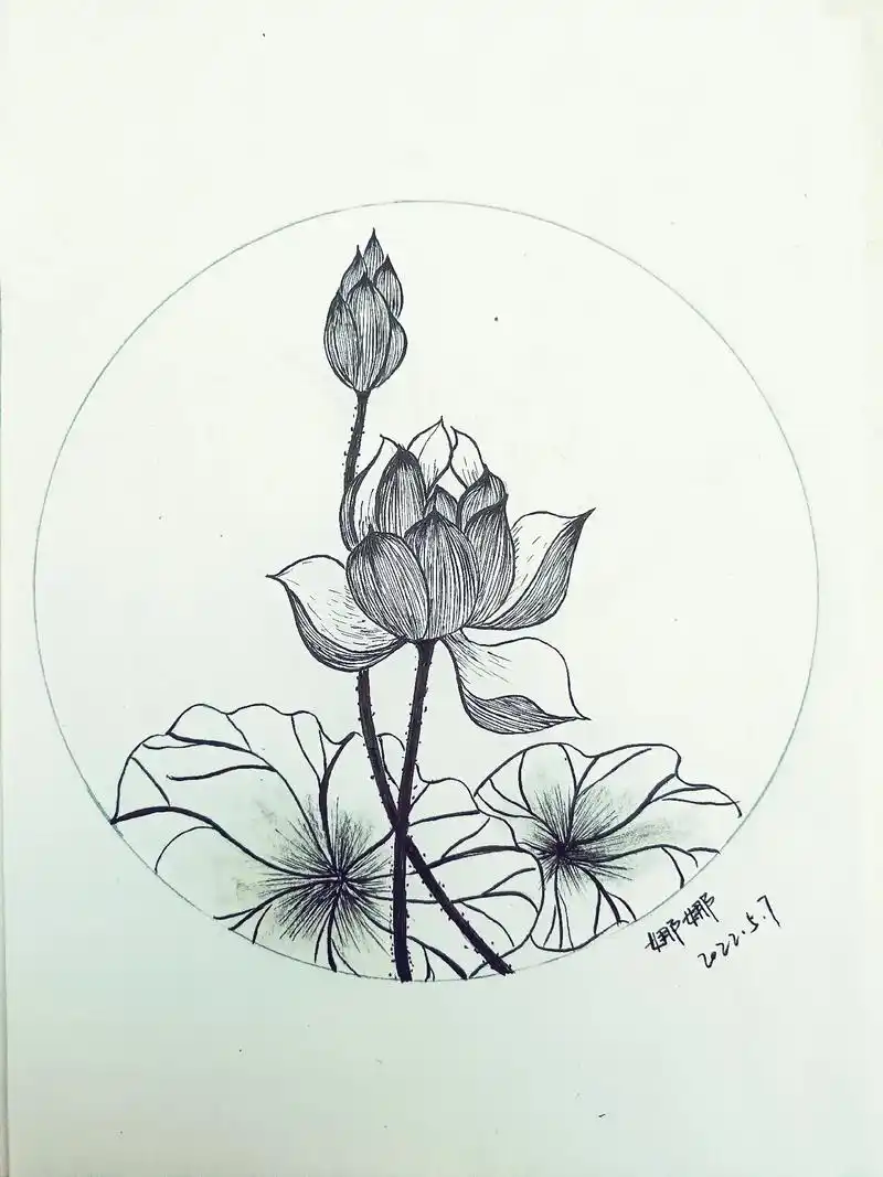 好些天没画了,上来打个卡#铅笔画 #素描画 #荷花  - 抖音