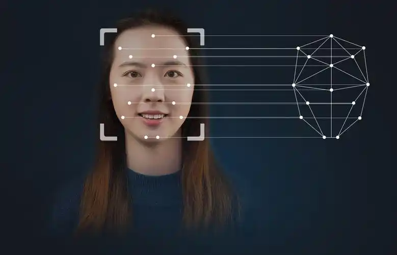 云天励飞静态人像识别解决方案_人脸识别-云巴巴