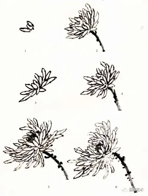 写意国画教程菊花的画法