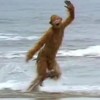 孙悟空海边奔跑图@阿焦talks的动态