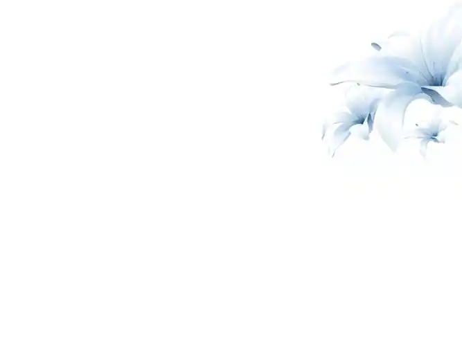 淡蓝色商务ppt背景图片