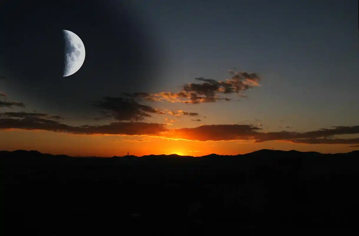 发现一个女孩子好聪明却不追求你的女孩子