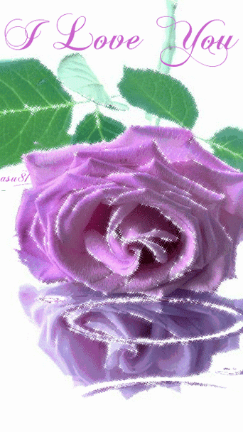 今天2月14情人节送给你99朵罕见玫瑰花太美了忍不住送给你