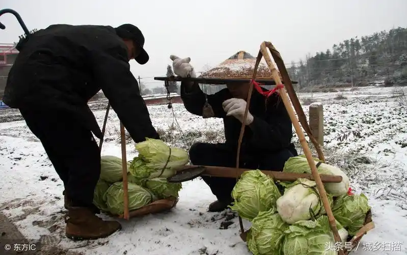 生活从来不轻松,12张农村父母辛苦劳作图,哪一张让你看后泪目?_农民工