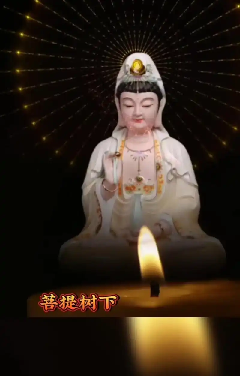 南无阿弥陀佛050505.