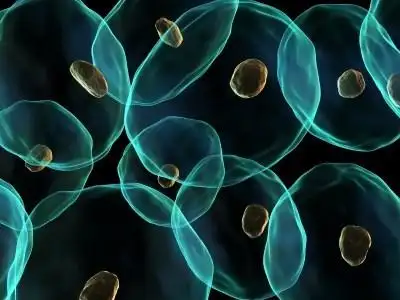 the old adage “out with the old and in with the new”