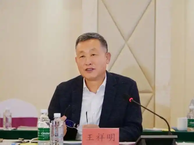 华润集团总监什么级别 华润集团副总经理级