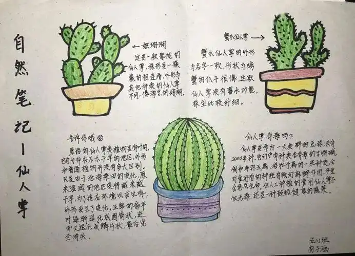 描绘乐趣——记浦师附小2020学年第一学期笔记大自然活动