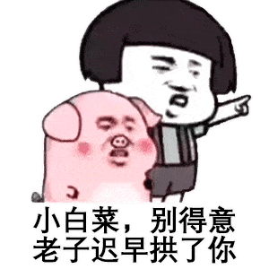 300_300gif 动态图 动图
