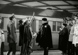 255_182gif 动态图 动图