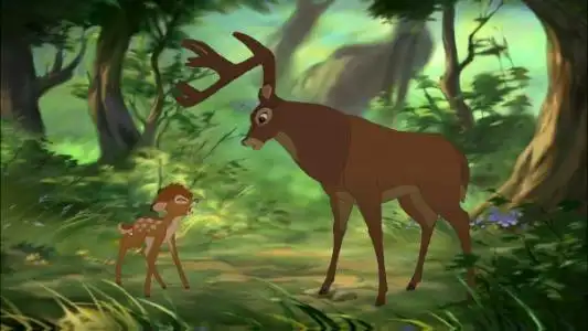 邯郸v音│ 遇见老鹿王