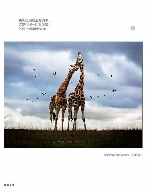 【what are words】 超级感动.要配给这个爱情最美的画面.