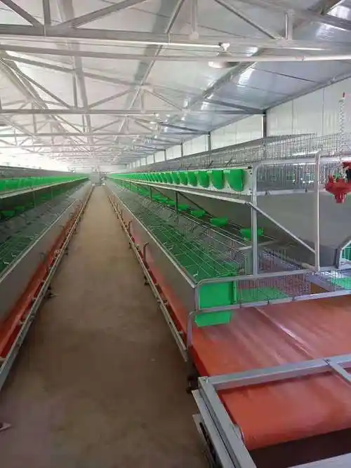 全自动兔笼在购买的过程中,还需要注意其在材质上的不同,该设备在材质