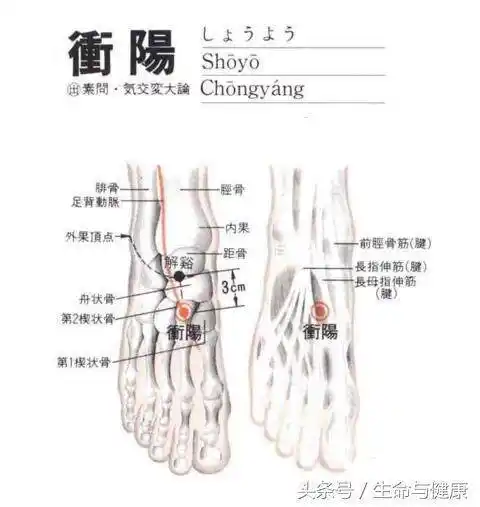 中医养胃之法——刺激冲阳穴,老胃病最好的养胃保健药!