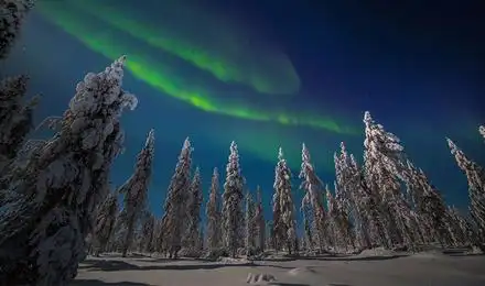 芬兰萨利色尔卡冰雪森林驯鹿雪橇追极光半日游含当地热饮酒店接送