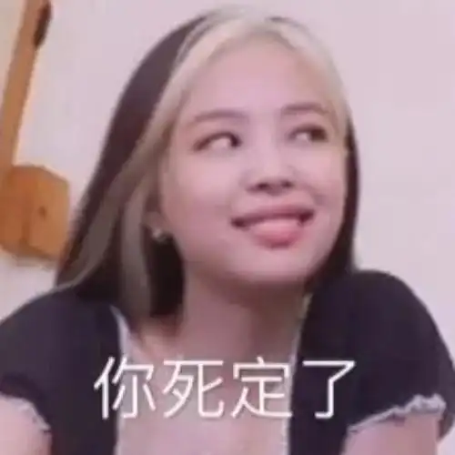 jennie表情包16