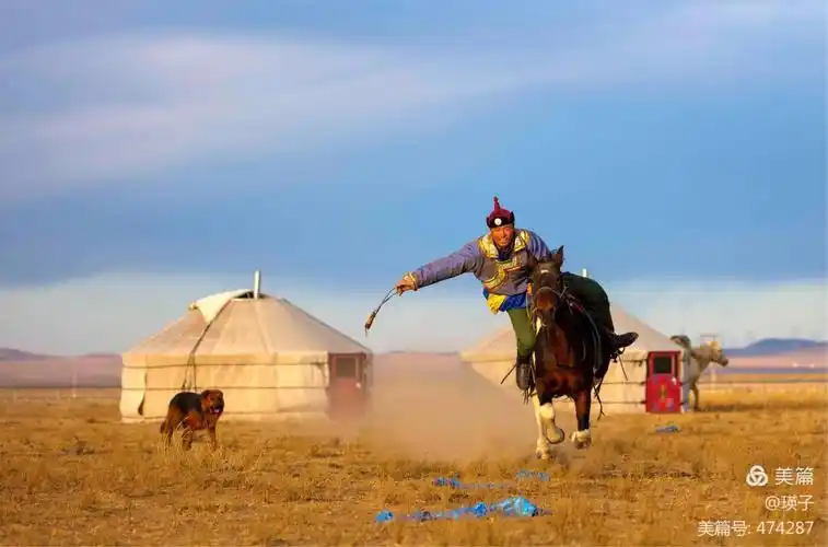 一往无前蒙古马