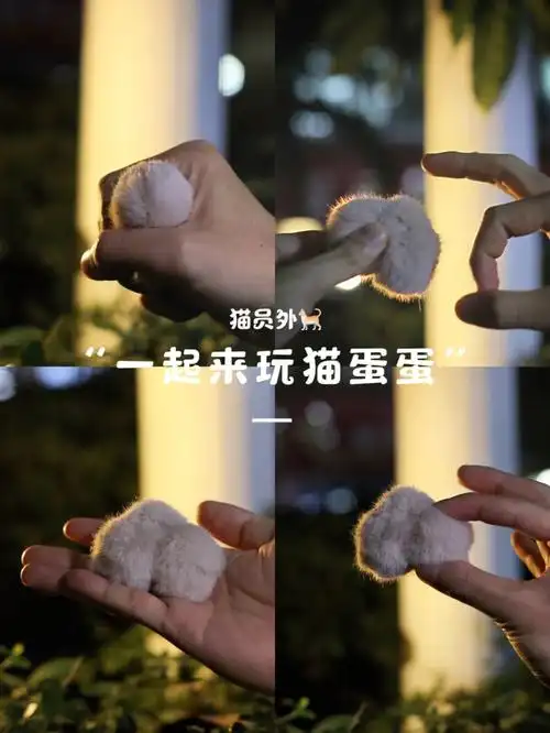 啦7815·让我惊喜的是07打开外卖居然送了个毛茸茸的 #猫蛋蛋