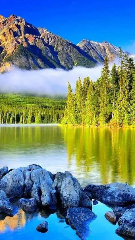 一起来看看吧?|桂林|内黄|偏关|长青|开原_网易订阅