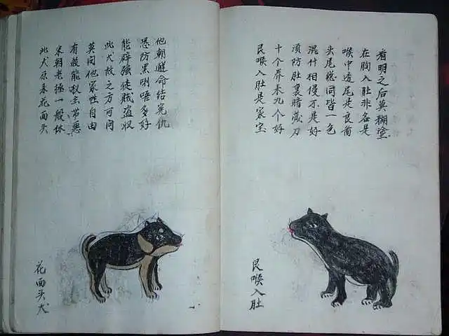 花面头犬,银喉入肚白犬乌头,左手白犬紫衣貂裘,水灰色狗独月应天,日月
